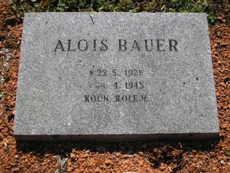 Alois Bauer