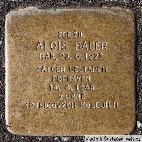Alois Bauer