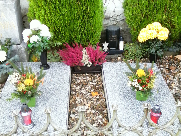 Urna  S. F.Neumanna