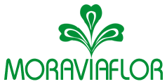 Moraviaflor