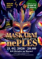 Maškarní neples 2