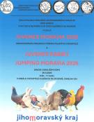Juvenes Moravia 2026 a Juvenes rabbit jumping Moravia 2026 1