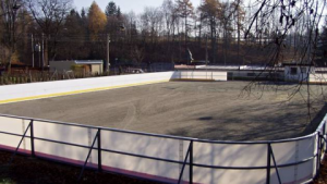 Kluziště